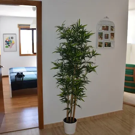 Casa Dolly